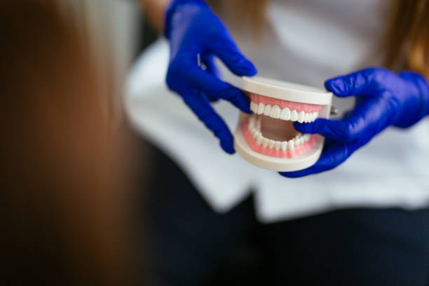 Trusted Moore Haven, FL  Holistic Dental Services Experts